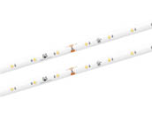 American Lighting STL65-WW 16.4 Ft. Standard Grade LED Tape Light, 24V, IP65, 3000K